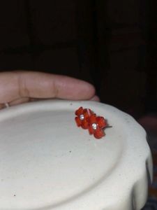 Cute Red Flower Stud Earrings❤️