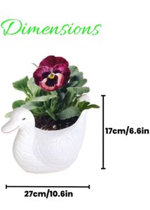 Adorable Duck Planters Set of 2