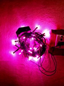 Beautiful Neon Lights