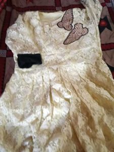 Elegant Lace Ethnic Gown