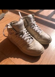 Need Money
