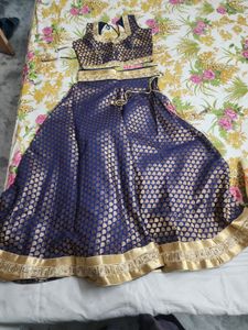 Navy Blue Lehenga Choli