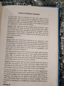 Teach Yourself Karate Book