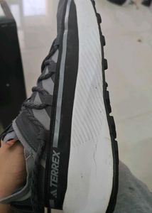 Adidas Terrex Trekking Shoes