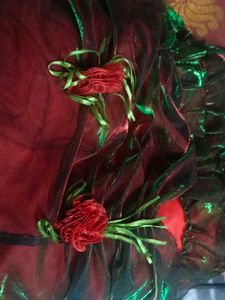 Beautiful Red &amp; Green Gown