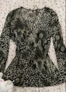 Sheer Leopard Print V-Neck Top