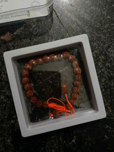 Natural rudraksha bracelet