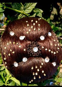 Sparkling Hair Bun Maker