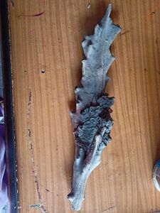 Driftwood Wall Art