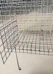 Parrot Cage ( Pijara)