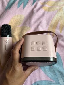 Portable Wireless Microphone and Speaker Set