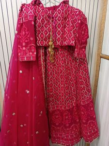 Elegant Pink Embroidered Ethnic Lehnga choli
