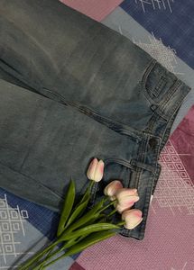 Roadster Denim Jeans