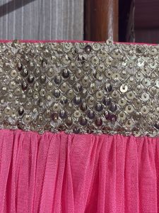 Pink Net Skirt with Gold Detail