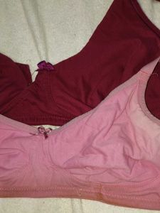 Maroon Bra