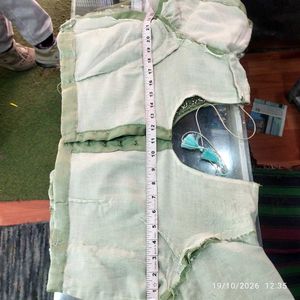 Elegant Pastel Green Embroidered Saree