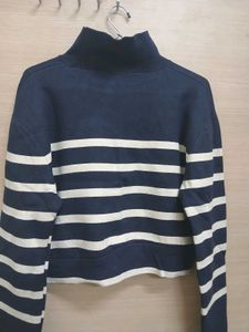 Striped Cropped Turtleneck Sweater