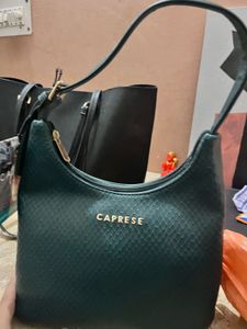 Caprese Green Hobo Handbag