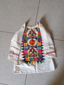 traditional kutch embroidered full sleeve short. n