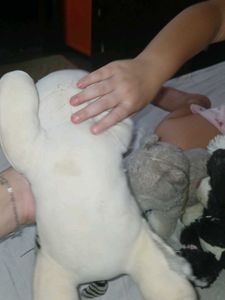 Adorable Stuffed Animal Toys
