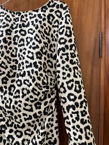 H&amp;M Leopard Print Long Sleeve Dress