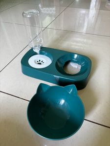 Cat Food &amp; Water Dish