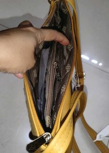 Baggit Sling bag