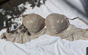 Elegant Lace Bra