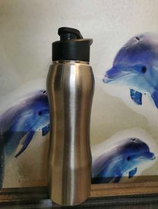 Pexpo Stainless Steel Water Bottle