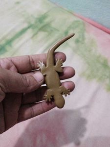 Toy Lizard for Collectibles
