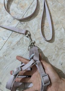 Cat Harness and Leash Set