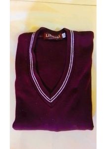 🤩men's🔖 Classic V-Neck Sweater