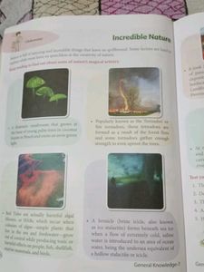 Invincible Knowledge Book 7