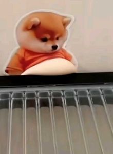 Funny Belly Puppy Showp(270 for 2 sticker)