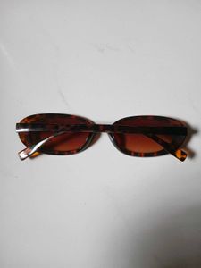 Oval Tortoiseshell Sunglasses