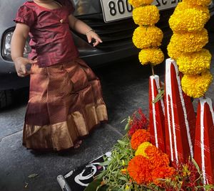Pattupavada
