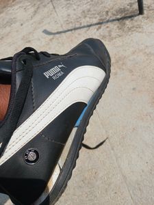 Puma Roma BMW 1st Copy