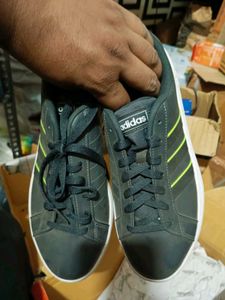 Adidas Shoe