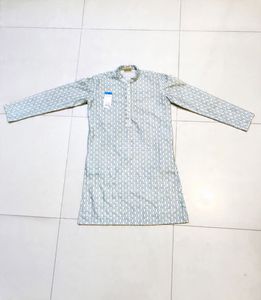 Men's Printed Kurta