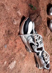 Stylish  Sneakers