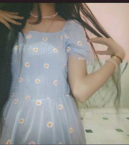 Blue Daisy embroidery Puff Sleeve Dress