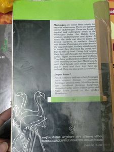 Class XII English Textbooks