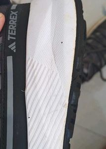 Adidas Terrex Trekking Shoes