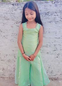 Beautiful Pastel Green Ethnic Set
