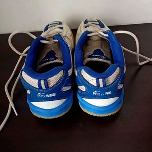 Vintage Proasee Badminton Shoes