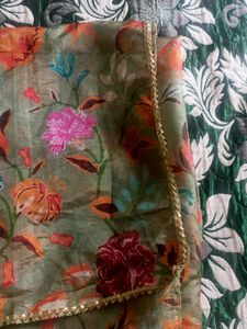 Beautiful Organza Dupatta