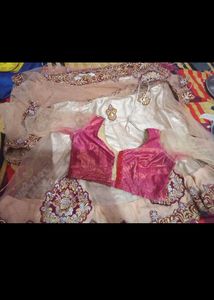 nude Gorgeous Lehenga Choli saree