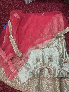 Elegant Embroidered Lehenga Choli