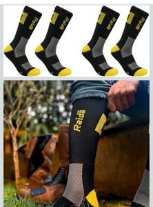 Raida Performance Socks