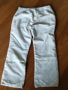 Chikankari Pant/Bottom/Salwar
